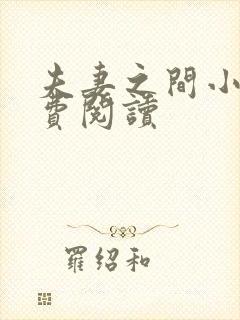 夫妻之间小说免费阅读