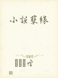 小说孽缘