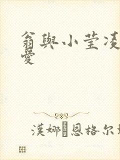 翁与小莹凌晨欢爱封面