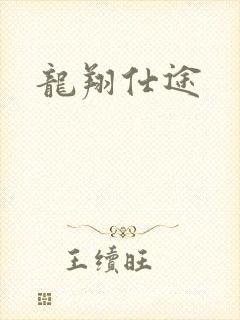 龙翔仕途
