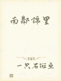 南邻锦里封面