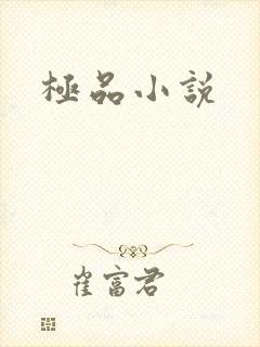 极品小说