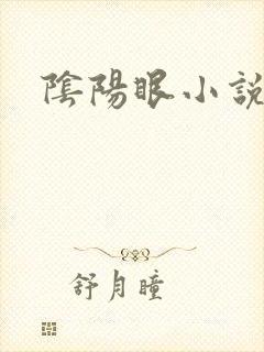阴阳眼小说