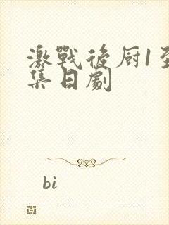 激战后厨1至5集日剧