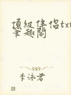 顶级伴侣txt笔趣阁