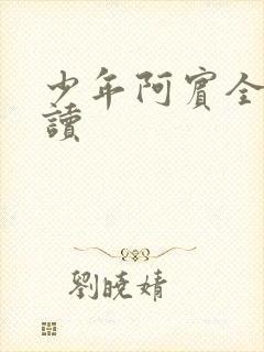 少年阿宾全集阅读
