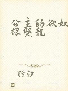 公主的欲奴h四根双龙