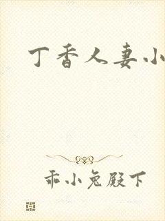 丁香人妻小说