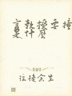言教授要撞坏了是什么