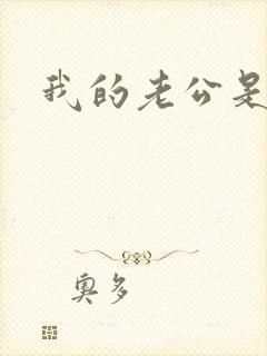 我的老公是军阀封面