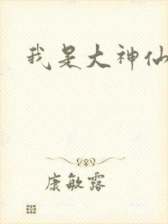 我是大神仙小说封面