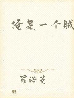 俺是一个贼