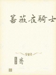 蔷薇夜骑士