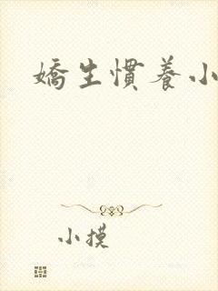 娇生惯养小说