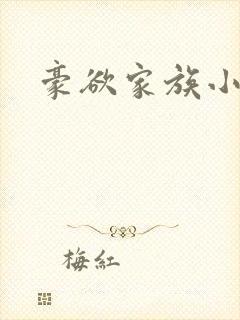 豪欲家族小说