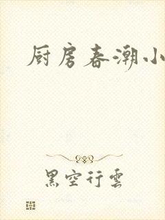 厨房春潮小说