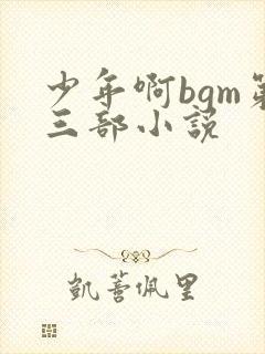 少年啊bgm第三部小说