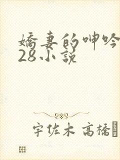 娇妻的呻吟1—28小说