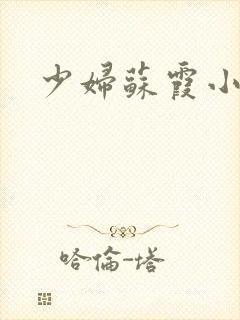 少妇苏霞小说