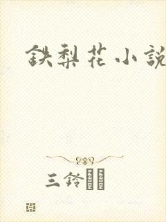 铁梨花小说