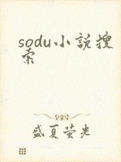 sodu小说搜索封面