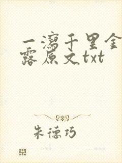 一泻千里金银花露原文txt