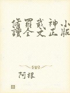 修罗武神小说阅读全文正版封面