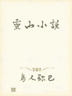 灵山小说封面