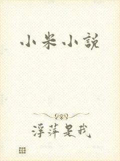 小米小说
