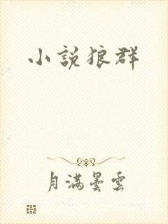 小说狼群