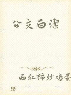 公交白洁