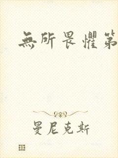 无所畏惧第二部封面