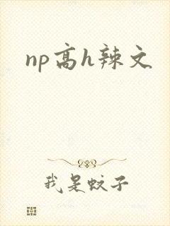 np高h辣文封面