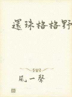 还珠格格野传封面