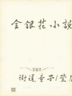 金银花小说乐可