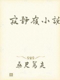 寂静岭小说