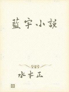 蓝宇小说