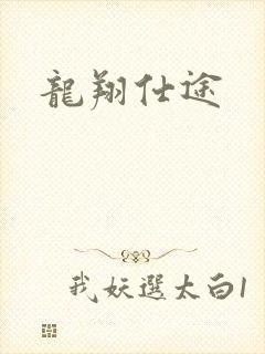龙翔仕途
