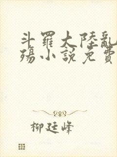斗罗大陆乱世浮殇小说免费阅读封面