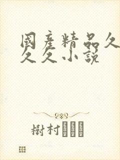 国产精品久久久久久小说封面