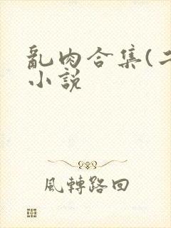 乱肉合集(二)小说