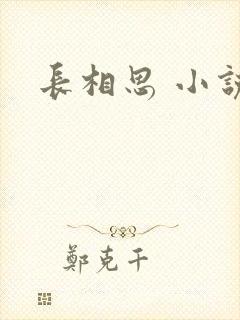 长相思 小说