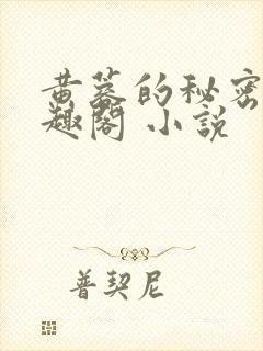 黄蓉的秘密 笔趣阁 小说
