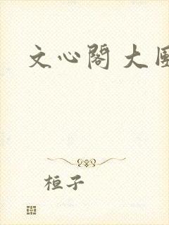 文心阁 大团结封面