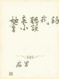 她来听我的演唱会小说