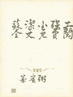 苏洁小强工地情全文免费阅读封面