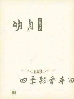 明月珰