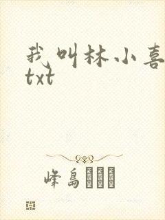 我叫林小喜小说txt