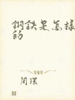 钢铁是怎样练成的封面