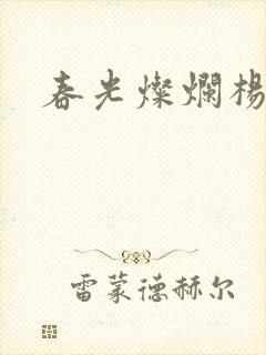 春光灿烂杨家将